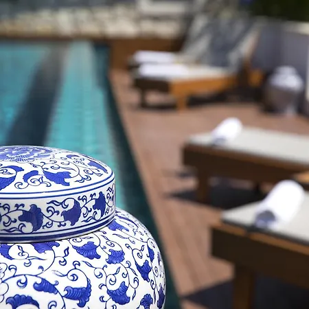 Agrovela אלאקאטי